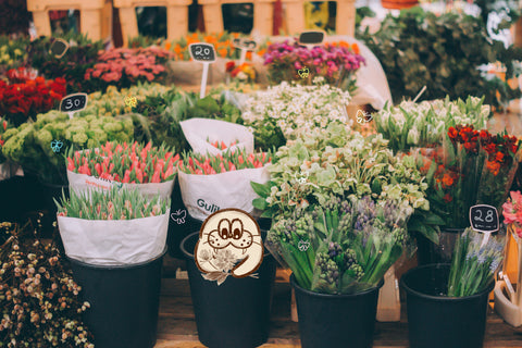 No Walrus. Just Flowers.