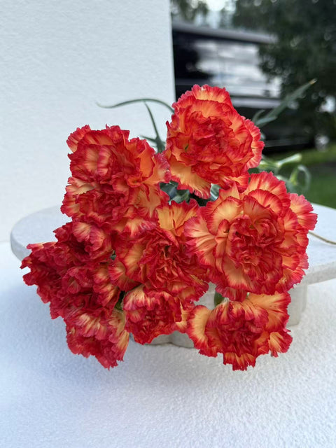 Sim Carnation Orange t in Elegant White Craft Paper Wrap, Gift-Ready, Other Colours Available