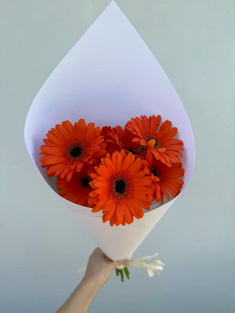 Gerbera Bouquet, 10 Stems