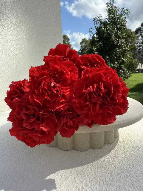Sim Carnation Red Bouquet, 10 Stems