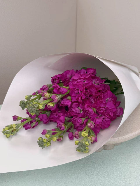 Stock Bouquet, Fushia, 5 Stems