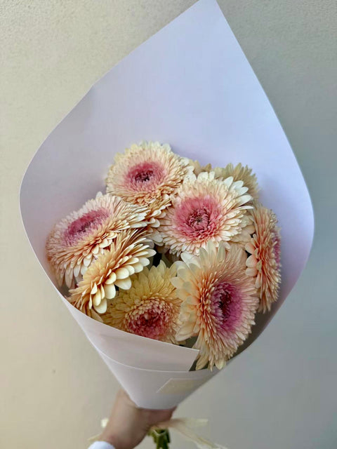 Gerbera Bouquet, 10 Stems