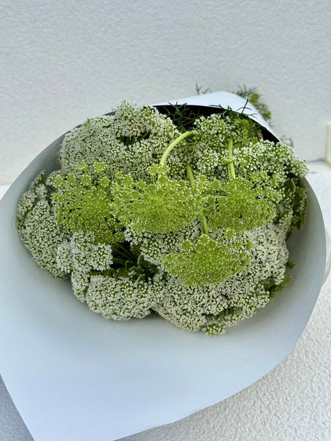 Queen Ann's Lace Bouquet