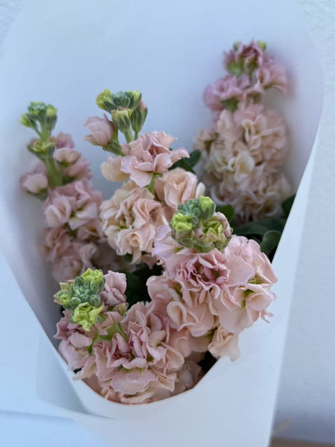 Stock Bouquet, Peach, 5 stems