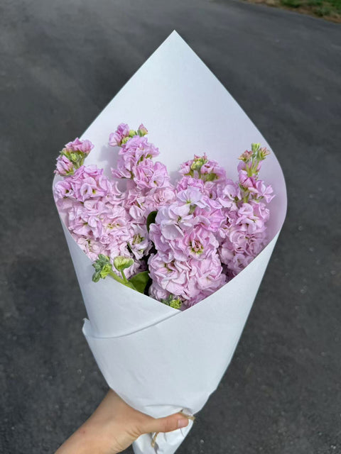 Stock Bouquet, Soft Pink, 5 Stems