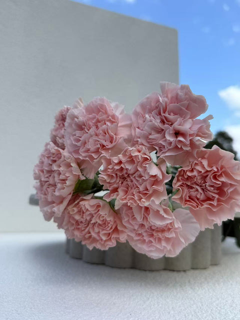 Sim Carnation soft pink Bouquet, 10 Stems