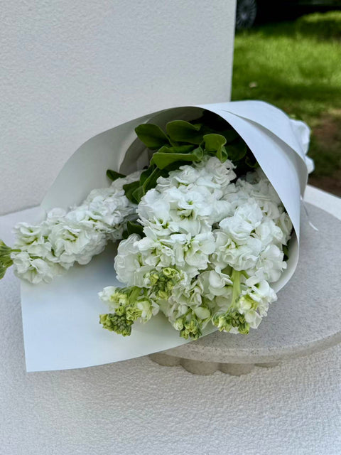 Stock Bouquet, White, 5 stems