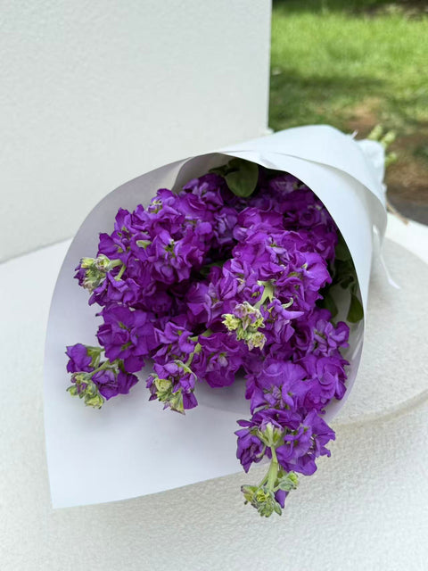Stock Bouquet, Purple, 5 Stems