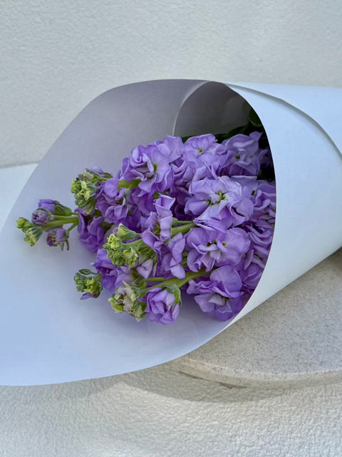Stock Bouquet, Lavender, 5 Stems