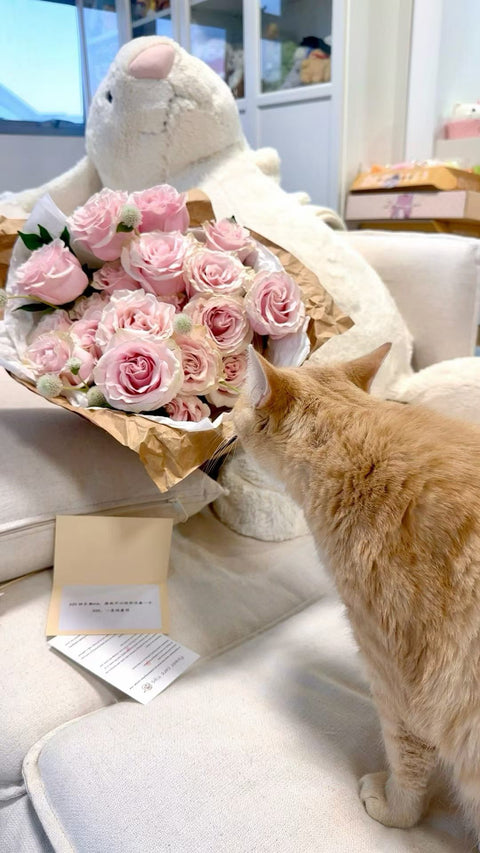 Cherub Rose - 20 Premium Roses