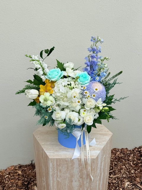 Aegean
