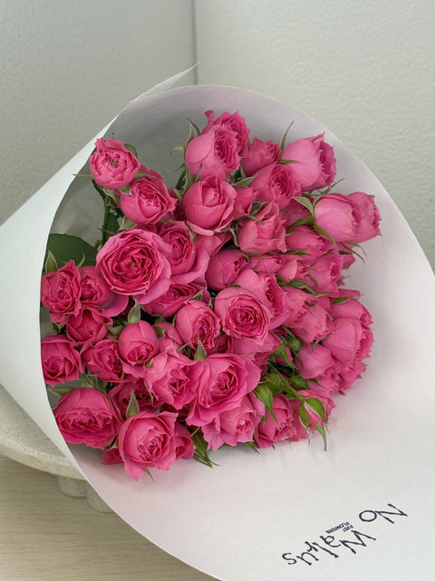 Flamingo Blush
