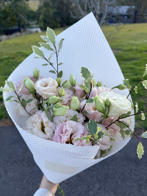 Blush Whisper