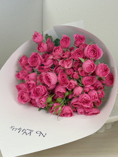 Flamingo Blush