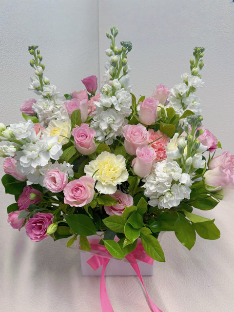 Pastel Wink - 36 Flowers