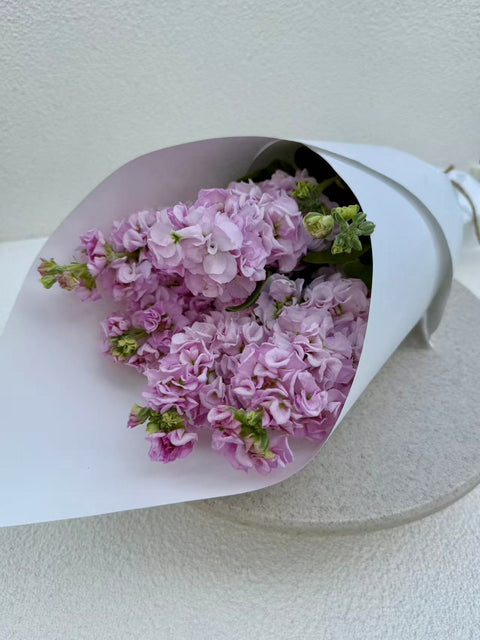 Stock Bouquet, Soft Pink, 5 Stems