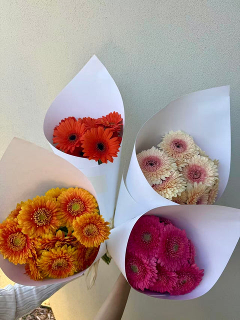 Gerbera Bouquet, 10 Stems