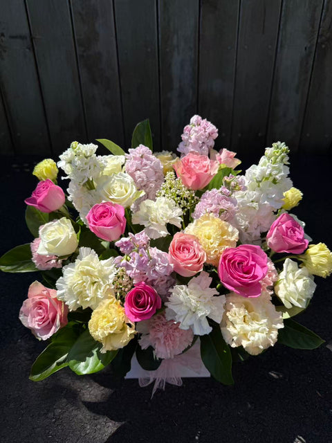 Pastel Wink - 36 Flowers